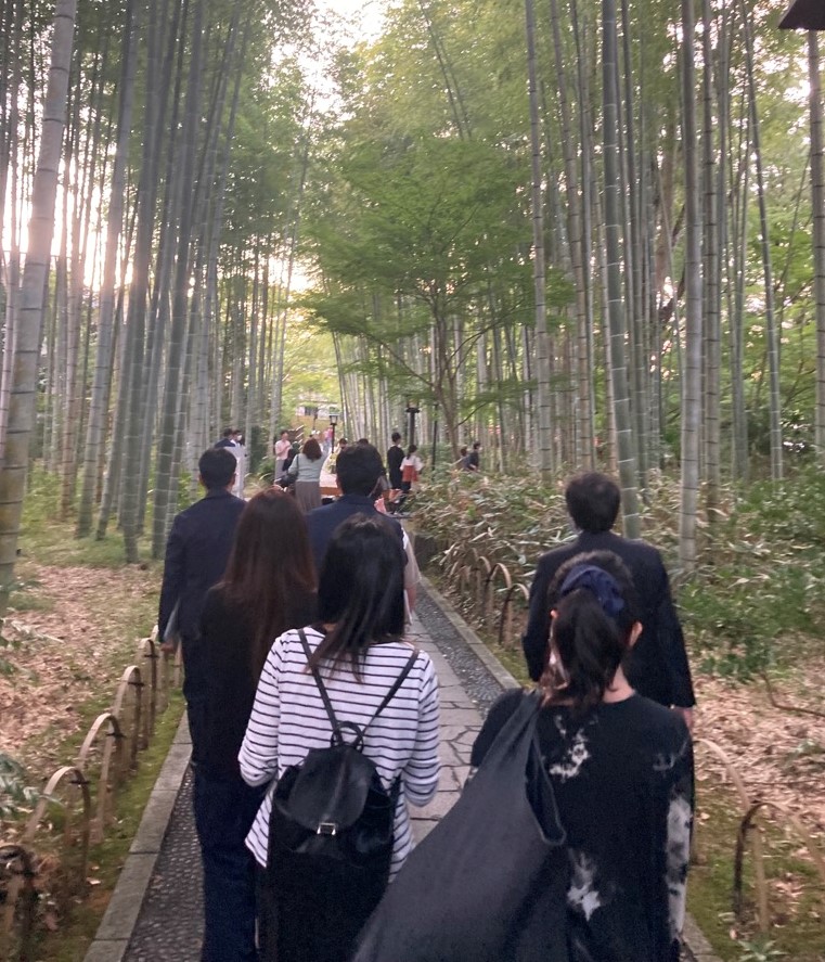 両側に竹林が広がる通路を数名の男女が歩く様子を後ろから撮影した写真
