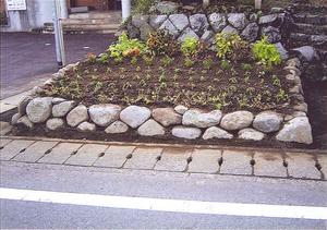 石積みの花壇に花の苗のようなものが植えられている写真