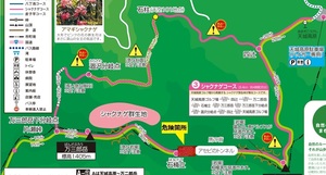 天城山ハイキングマップ