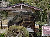 手前に水車、奥に木造の建物が写る写真