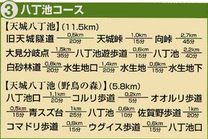 八丁池コースの案内