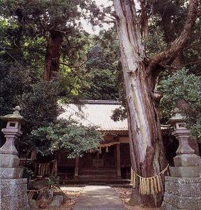 両脇に石塔、道の奥には社殿が立っていて、手前には幹に縄が巻かれた鳥居杉が写っている写真