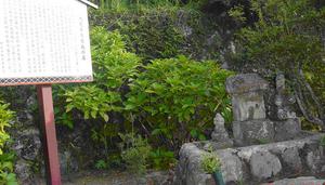 左側に説明が書かれた木の看板、右に石で造られた大見平三家政の墓が写っている写真