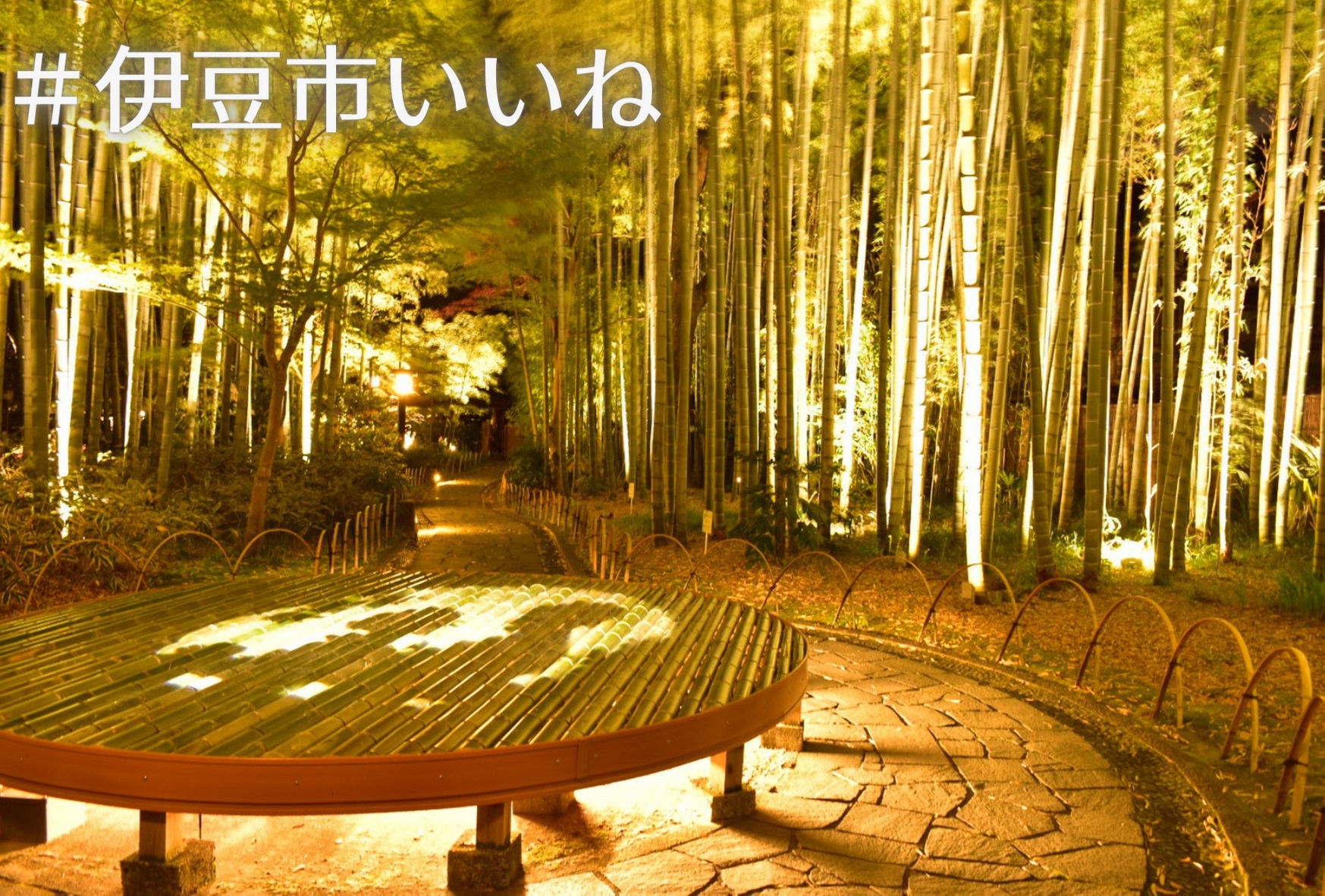 下からライトアップされた竹林の中に座面が竹でできた丸く大きいベンチが置かれている写真