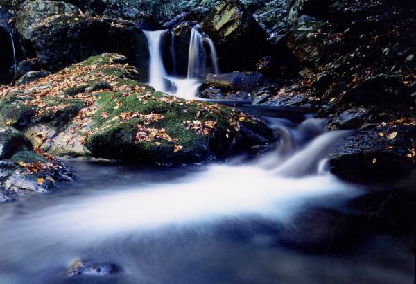 水が滝のように流れ幻想的な自然の写真