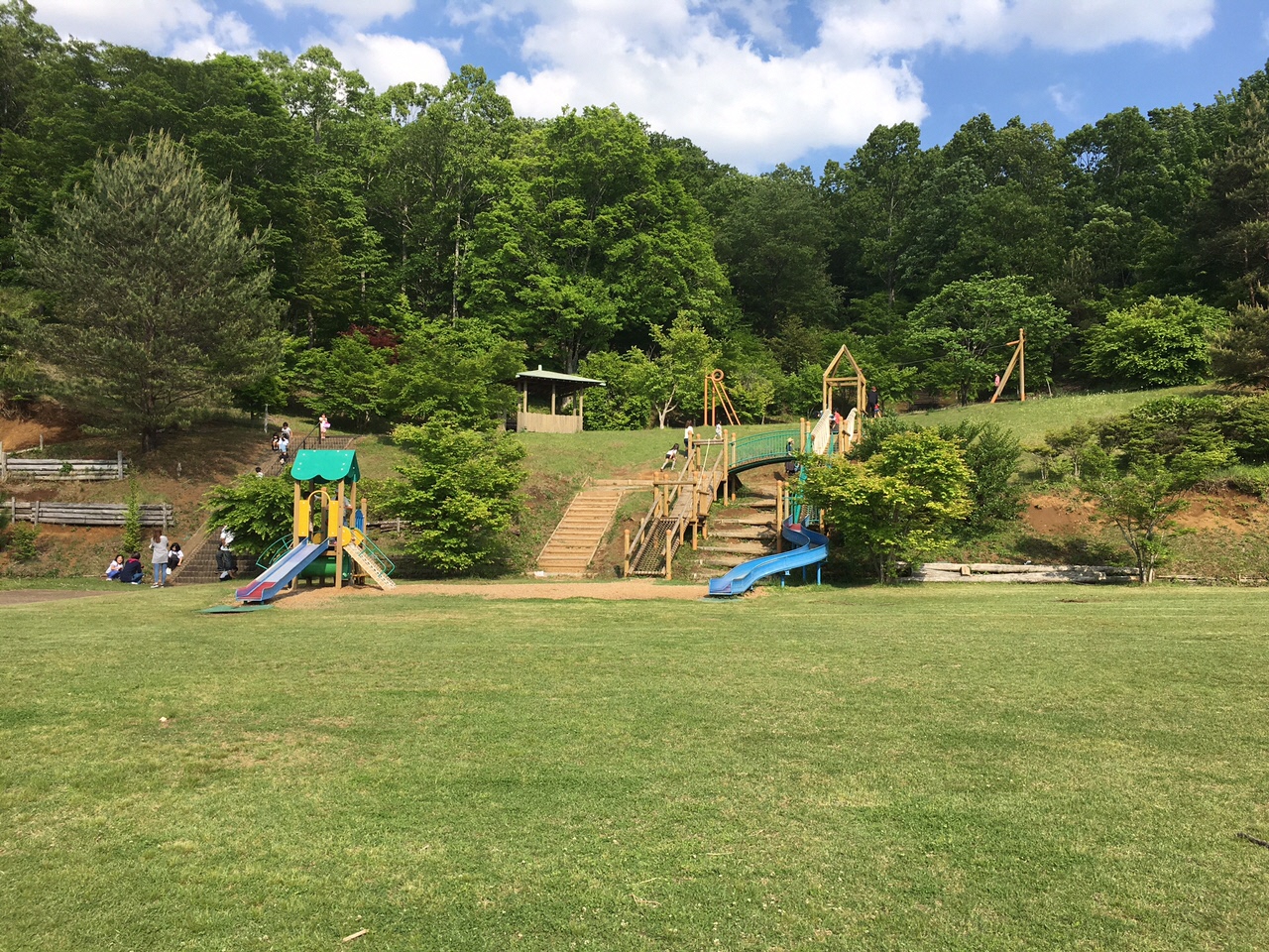 広い芝生に複合遊具やターザンロープなどの遊具がある自然豊かな公園の写真