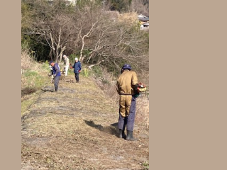 農用地横の堤防の草刈り