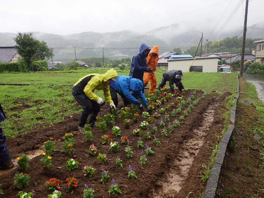 休耕地への花の植栽作業