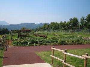 野菜や花づくりスペースがある交流ガーデンの写真