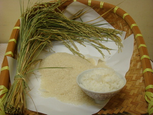 稲と、米、ごはんが木のかごの中に並べられている写真