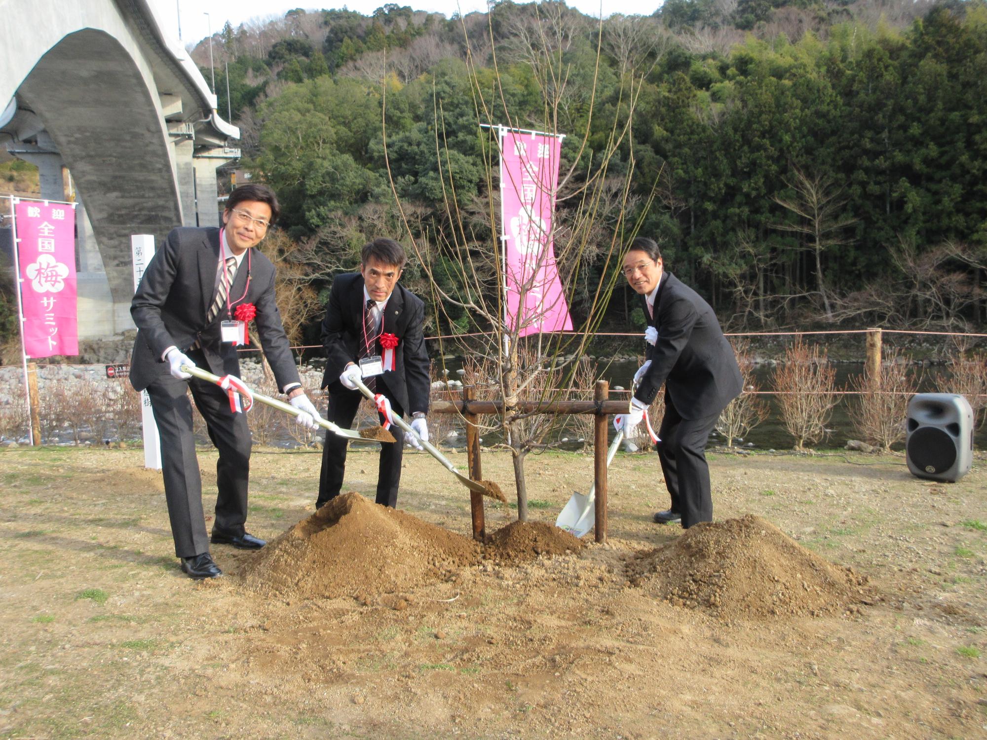 植樹された梅の木の根元にスコップで砂をかけているスーツを着た3人の男性の写真
