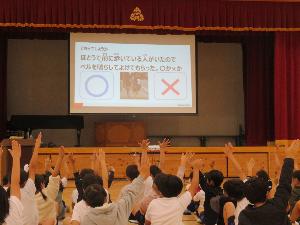 クイズの様子