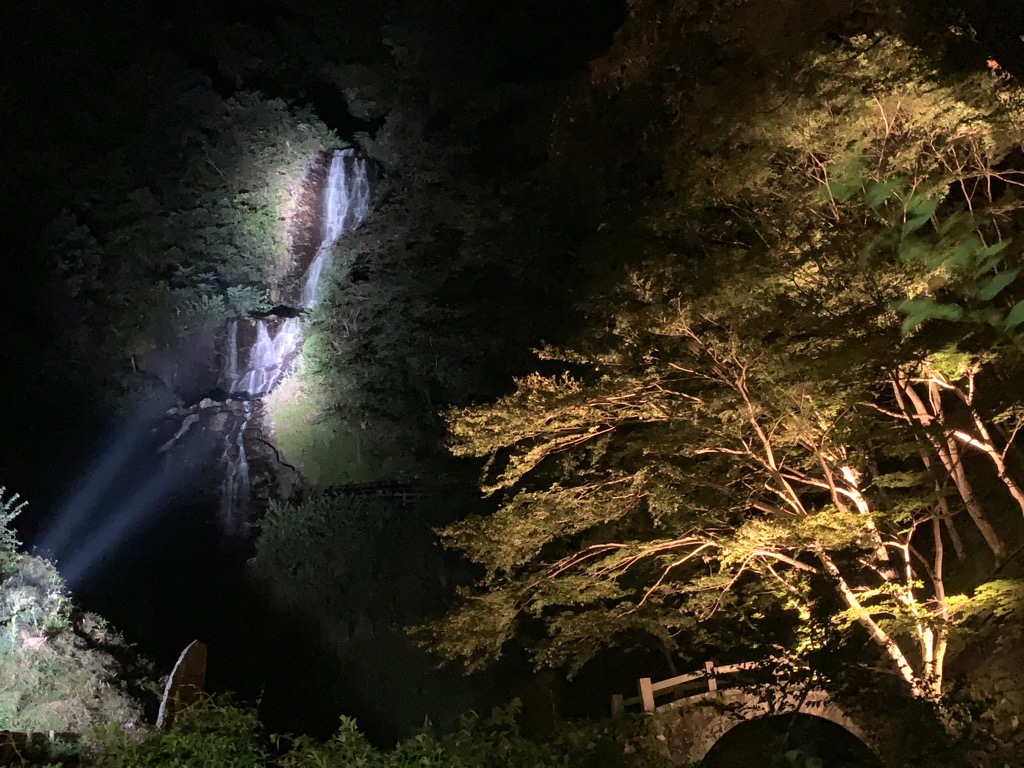 上流から流れる旭滝と紅葉の木がライトアップされている写真