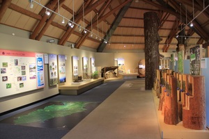 木で造られた展示物や壁に絵が書かれた説明図が飾られている森の情報館の室内写真