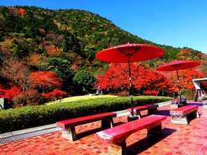 野点傘の置かれた赤いベンチの奥に赤やオレンジに色づく紅葉と、木々に覆われた山が見える写真