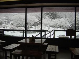 葉の落ちた木や地面が雪をかぶり一面真っ白になっている様子を室内から撮影した写真