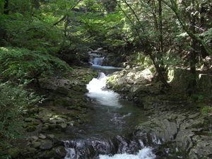 上流から緩やかに水か流れる滑沢渓谷の写真