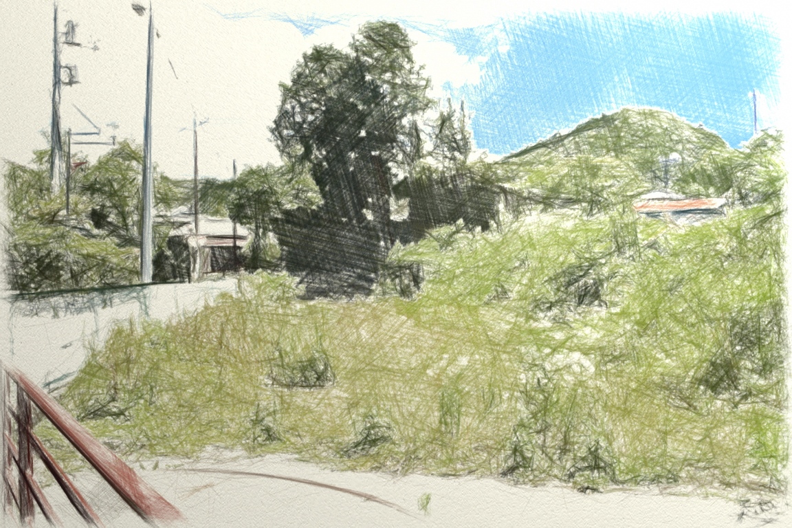 草木が生い茂る奥に家が見える営林署跡地のイラスト