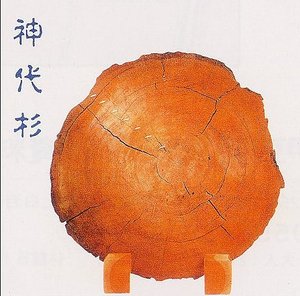年輪が見える輪切りの木の写真の横に神代杉と文字が入った画像