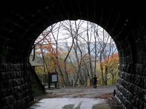 暗闇のトンネルの先に沢山の木や紅葉が見える天城山隧道の写真
