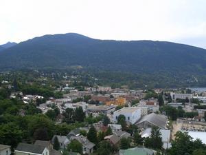 自然豊かな街並みの奥に山が見える、ネルソンの街を高台から撮影した写真