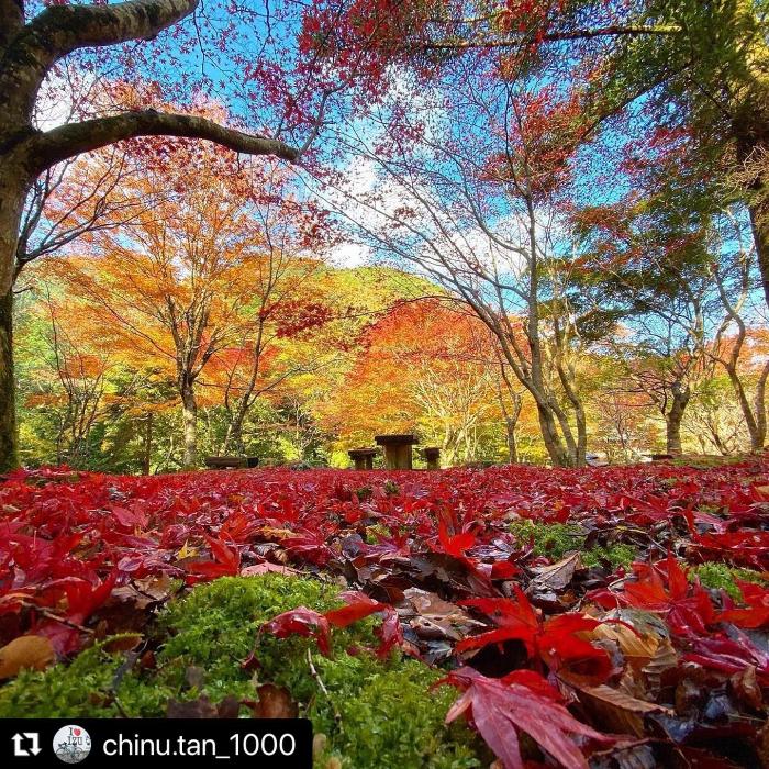 紅葉